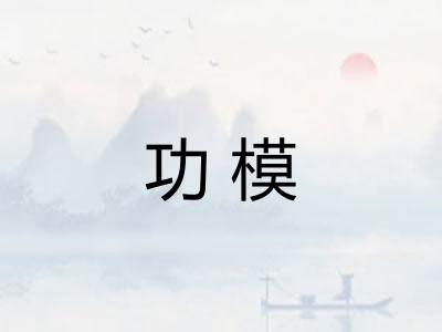 功模