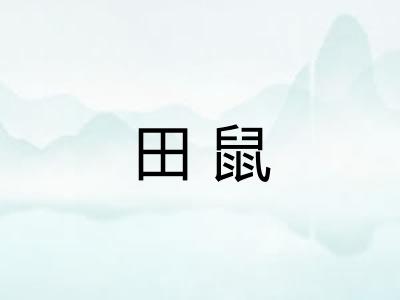 田鼠