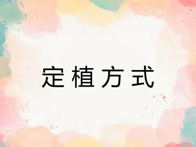 定植方式