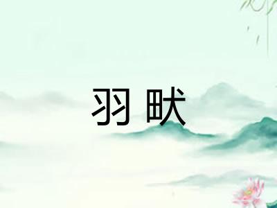羽畎