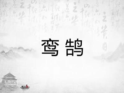 鸾鹄
