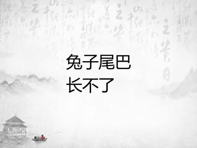 兔子尾巴长不了