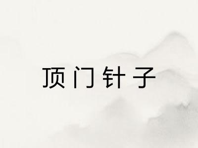 顶门针子