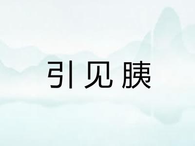 引见胰