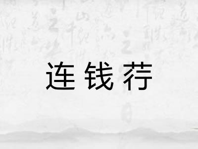 连钱荇