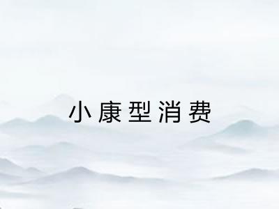 小康型消费