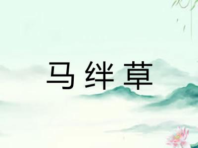 马绊草