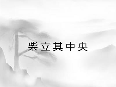 柴立其中央