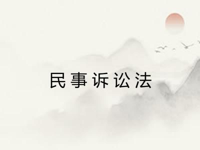 民事诉讼法