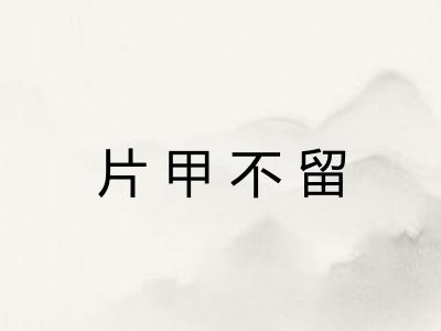 片甲不留