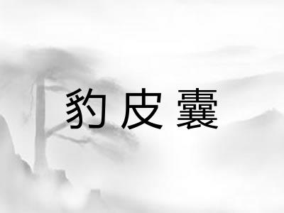 豹皮囊