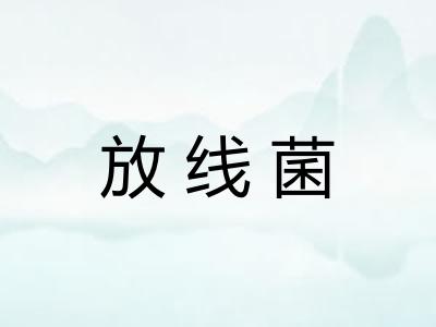 放线菌
