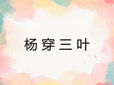 杨穿三叶