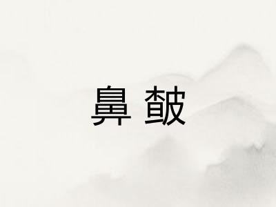 鼻皶
