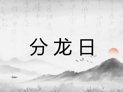 分龙日