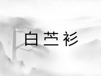 白苎衫