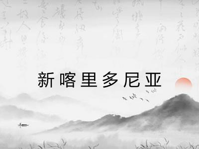 新喀里多尼亚