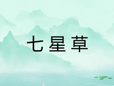 七星草