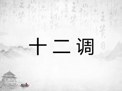 十二调