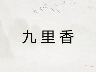 九里香