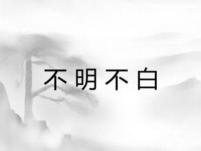 不明不白
