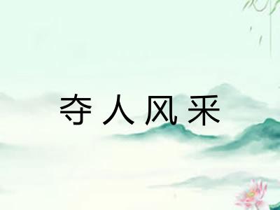 夺人风釆