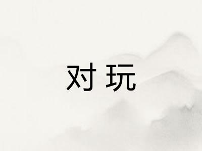 对玩
