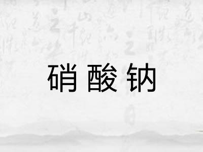 硝酸钠
