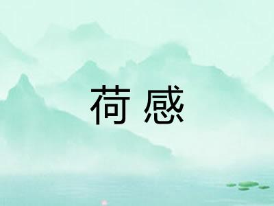 荷感