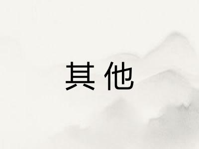 其他