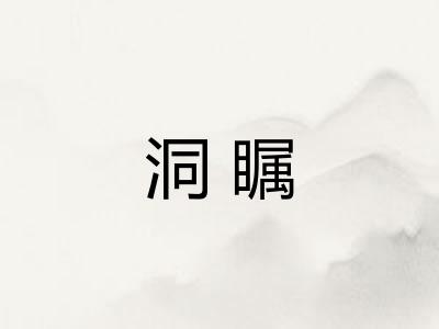 洞瞩