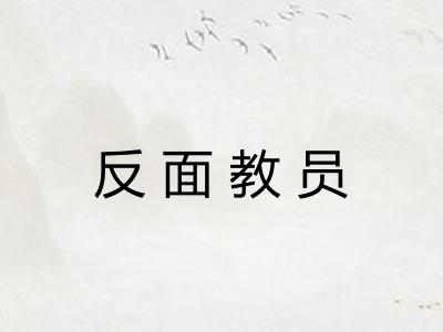 反面教员