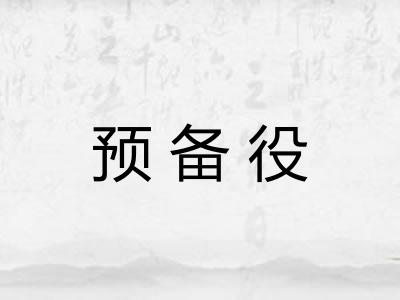 预备役