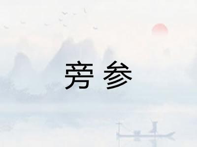 旁参