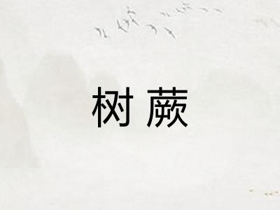 树蕨