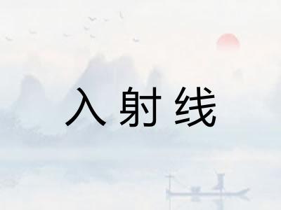 入射线