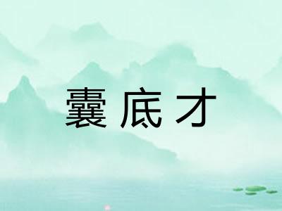 囊底才