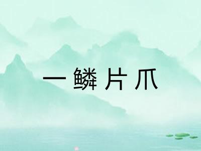 一鳞片爪