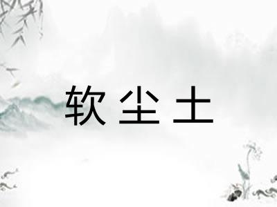 软尘土
