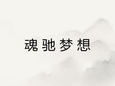 魂驰梦想