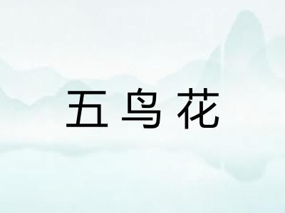 五鸟花