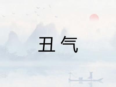 丑气