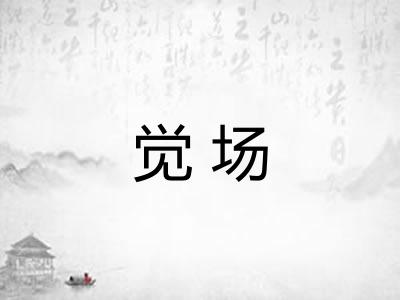 觉场