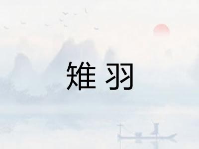 雉羽