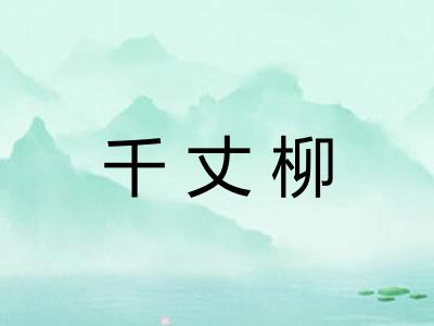 千丈柳