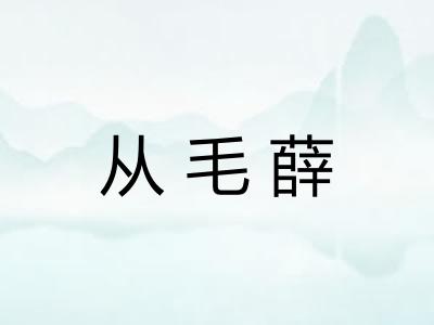 从毛薛