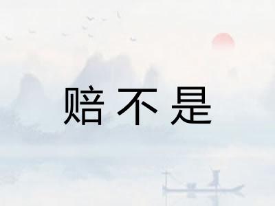 赔不是