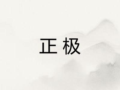 正极