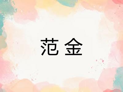 范金