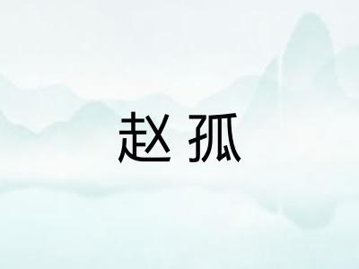 赵孤
